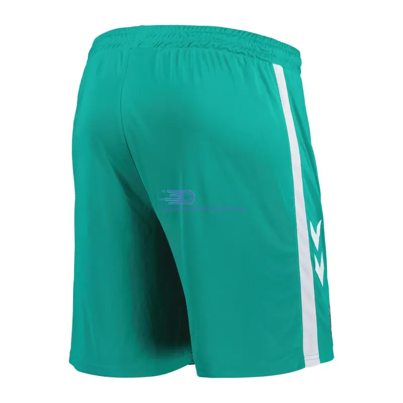 Camiseta de Portero Sunderland AFC 2025/2026 Verde