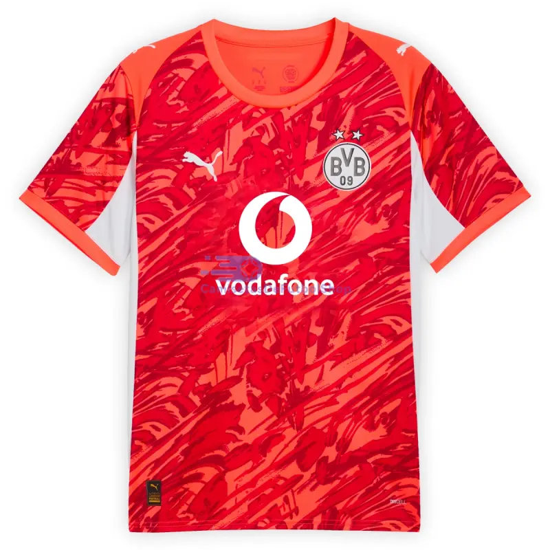 Camiseta de Portero Borussia Dortmund 2025/2026 Naranja