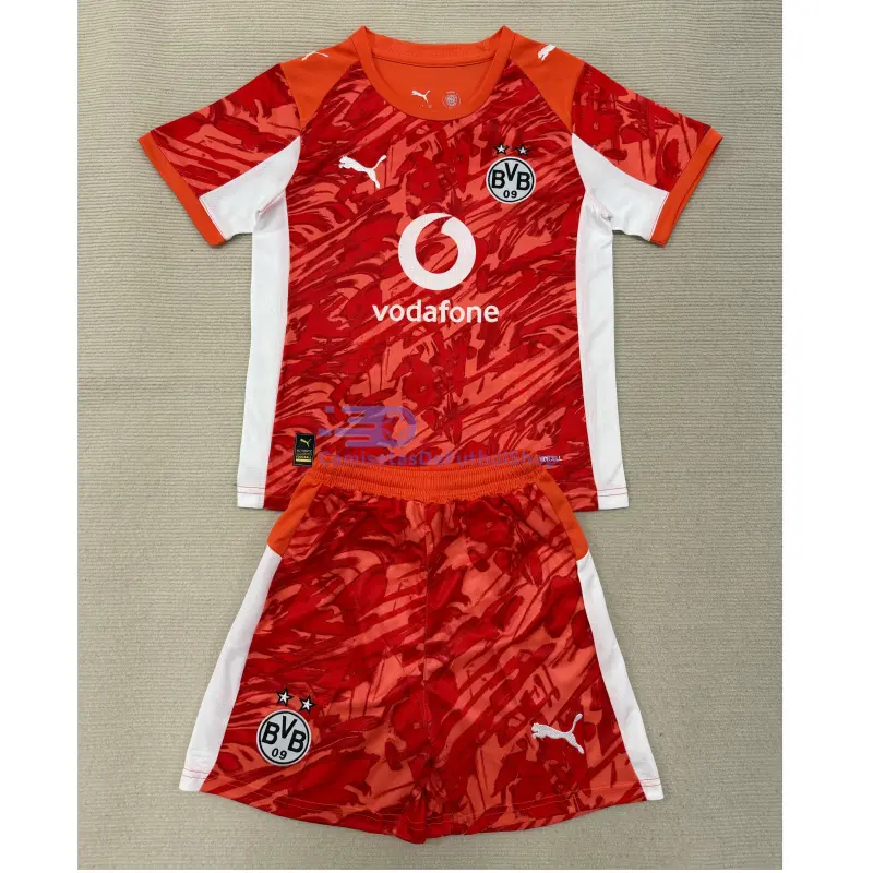 Camiseta de Portero Borussia Dortmund 2025/2026 Naranja Niño Kit