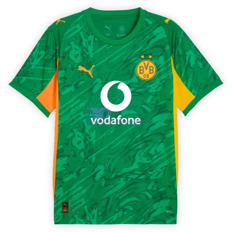 Camiseta de Portero Borussia Dortmund 2025/2026 Verde