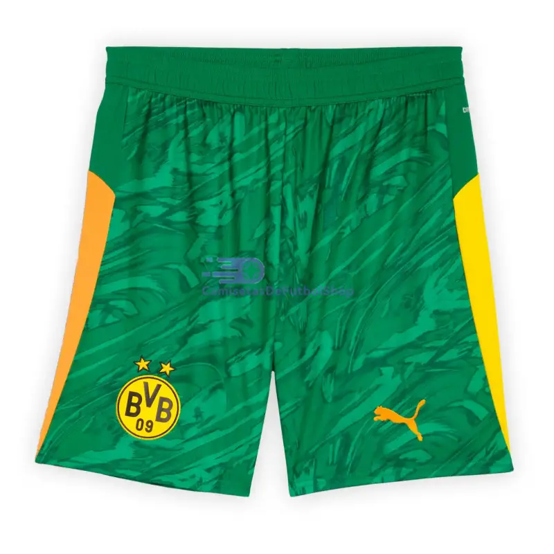 Camiseta de Portero Borussia Dortmund 2025/2026 Verde
