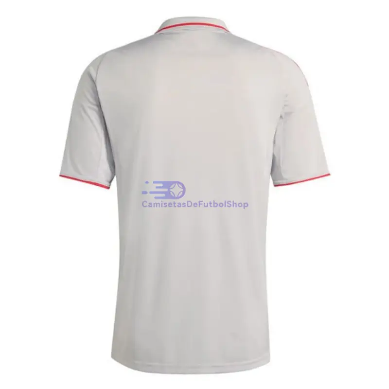 Camiseta Olympique De Lyon 2025/2026 3ª Equipación Gris