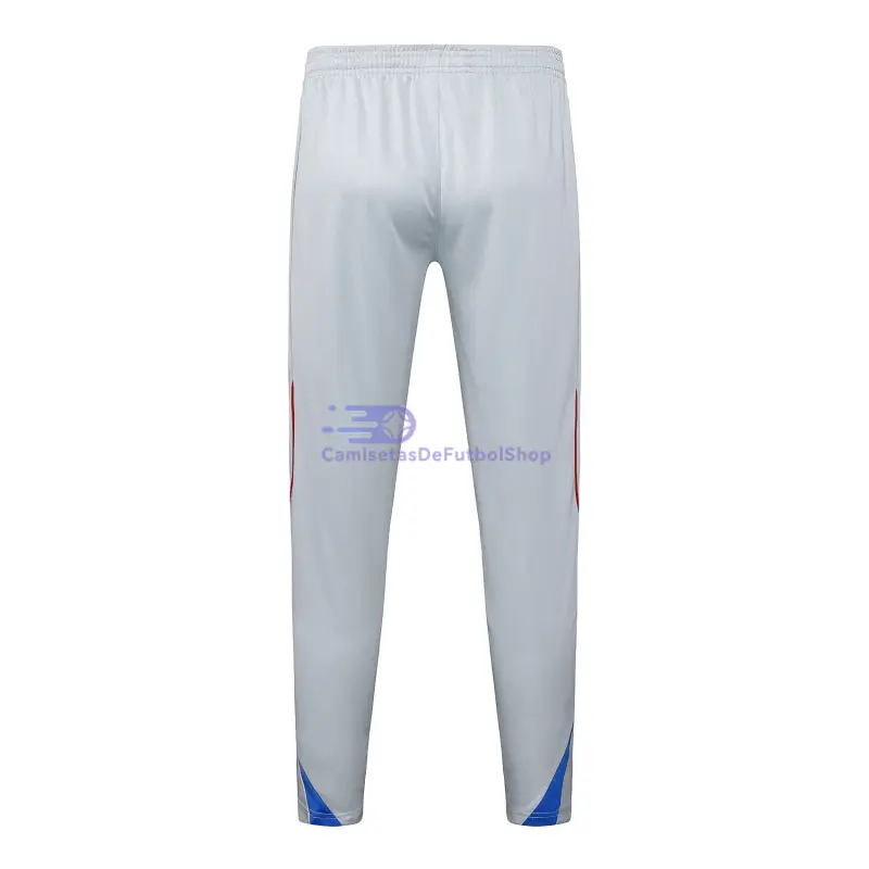 Sudadera De Entrenamiento Bayern Múnich 2025/2026 Retro Gris Claro/Azul