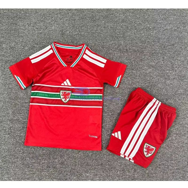 Camiseta Gales 2026 1ª Equipación Mundial Rojo Niño Kit