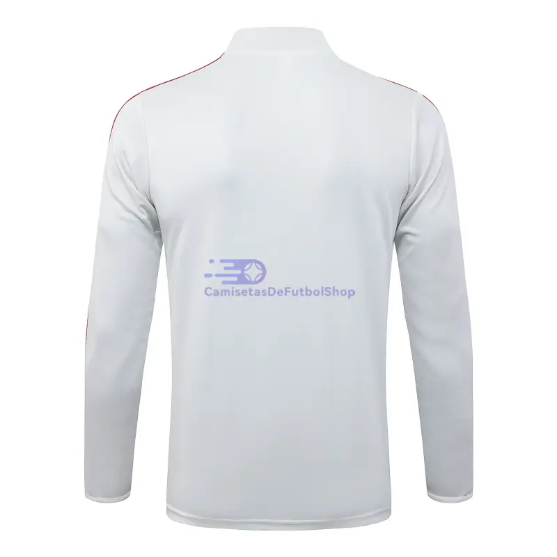 Sudadera De Entrenamiento Flamengo 2025/2026 Gris Claro