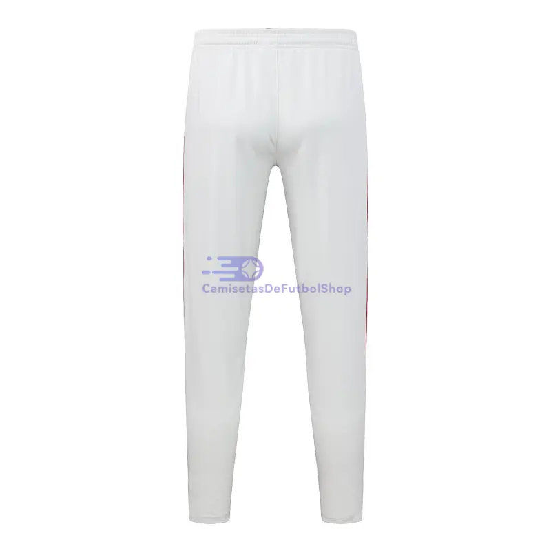 Sudadera De Entrenamiento Flamengo 2025/2026 Gris Claro