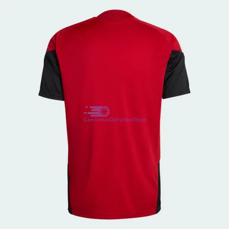 Camiseta de Entrenamiento Alemania 2026 Rojo