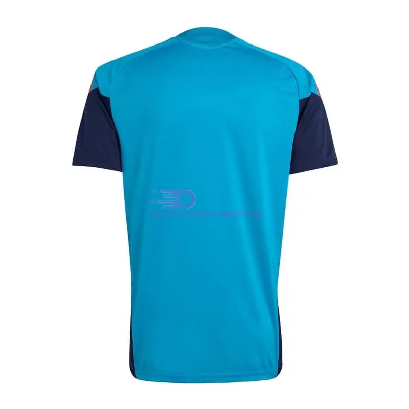 Camiseta de Entrenamiento España 2026 Azul Real