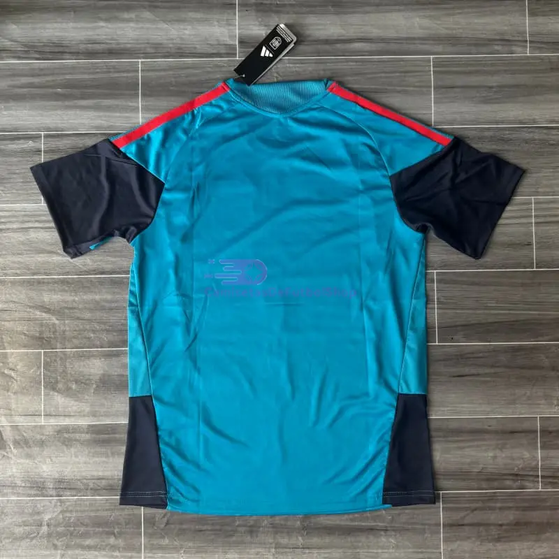 Camiseta de Entrenamiento España 2026 Azul Real