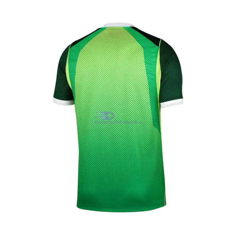 Camiseta Nigeria Mundial 2026 1ª Equipación Verde